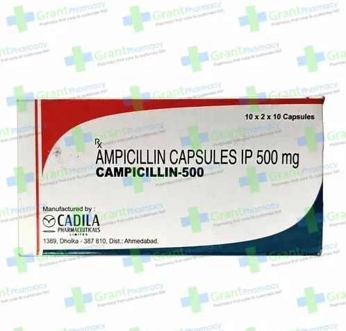 ampicillin sulbactam.webp Antimicrobial Regimen | Clostridium difficile | Not Peritoneal Dialysis | High Risk Patients | Hypersensitivity Reaction |